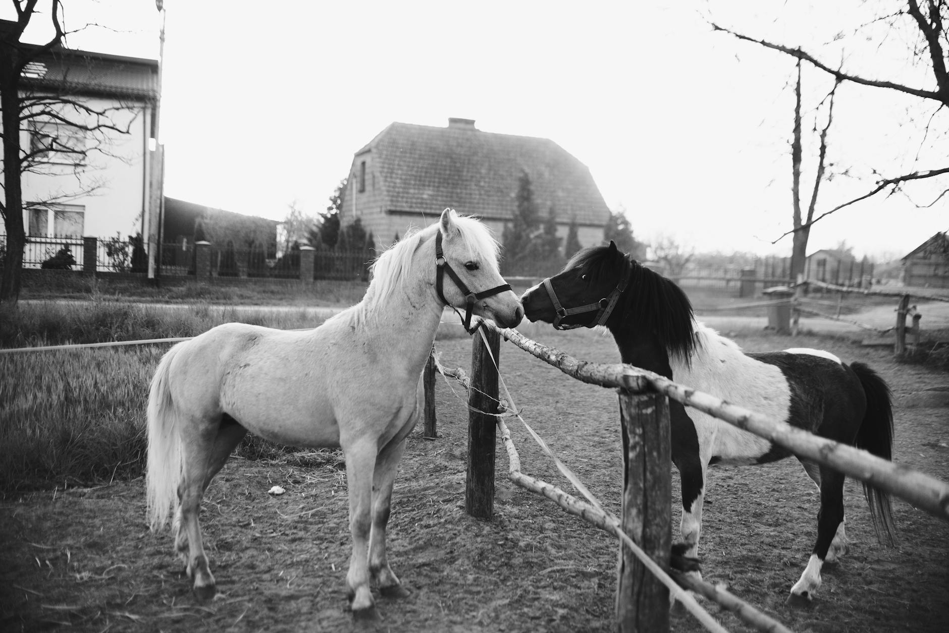 Zambrów w 1976 roku: Miasto w czasach zmian i budowania